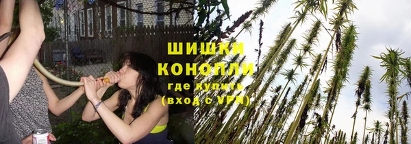 стаф Белоозёрский
