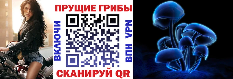купить наркотики сайты Горняк маркетплейс официальный сайт Псилоцибиновые грибы мухоморы